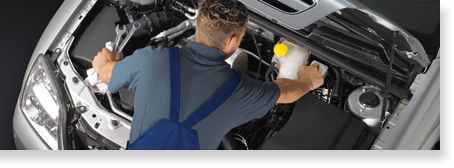 Fahrzeugreparatur und Service typenoffen PKW und Transporter Steffen Eberst Bestensee Autoreparatur Werkstatt Öffnungszeiten Mo.-Fr. 8.00-18.00 Tel. 03376364788